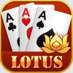 3Patti Lotus APK