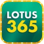 Lotus 365 APK Download